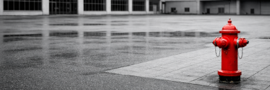 BANNER SITE 2024 (1620 x 800 px) (1)